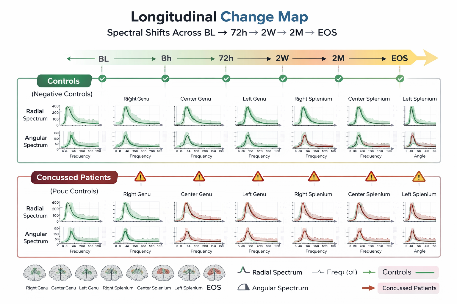 Longitudinal change map showing frequency-orientation differences across serial brain MRI scans